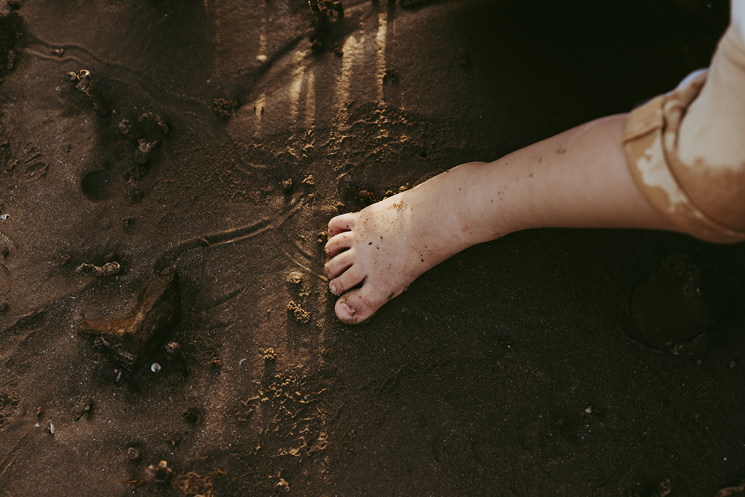 A stream of sunlight filters through onto a toddler's small foot. His shorts are wet and he's standing on wet sand.