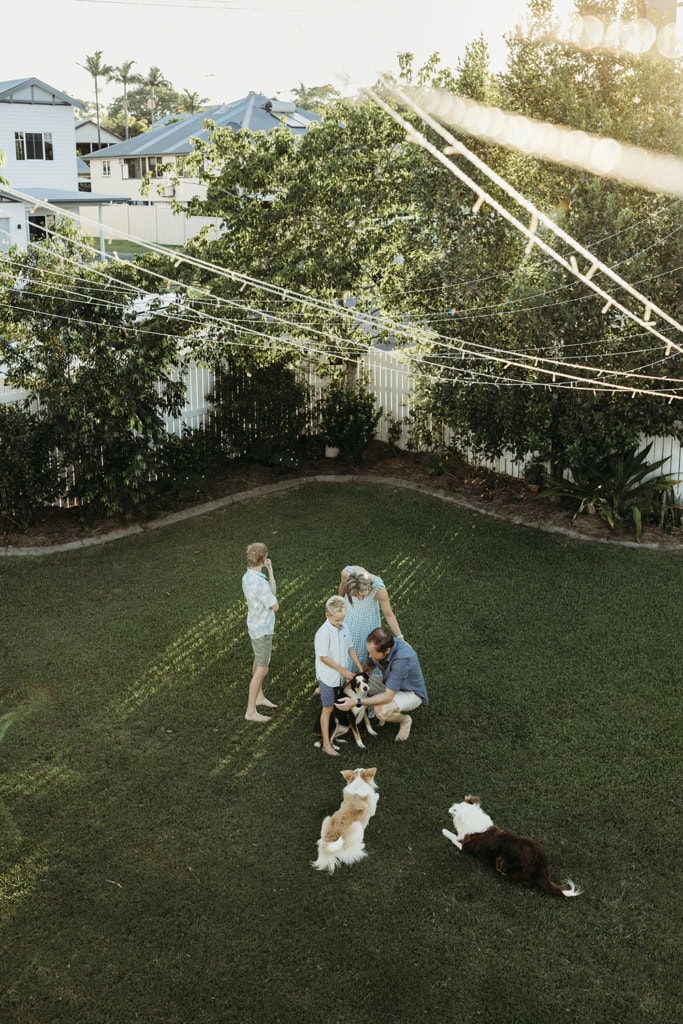 A birds-eye-view of a family of four playing with their three dogs in the backyard. A warm glow from the setting sun illuminates the sky.